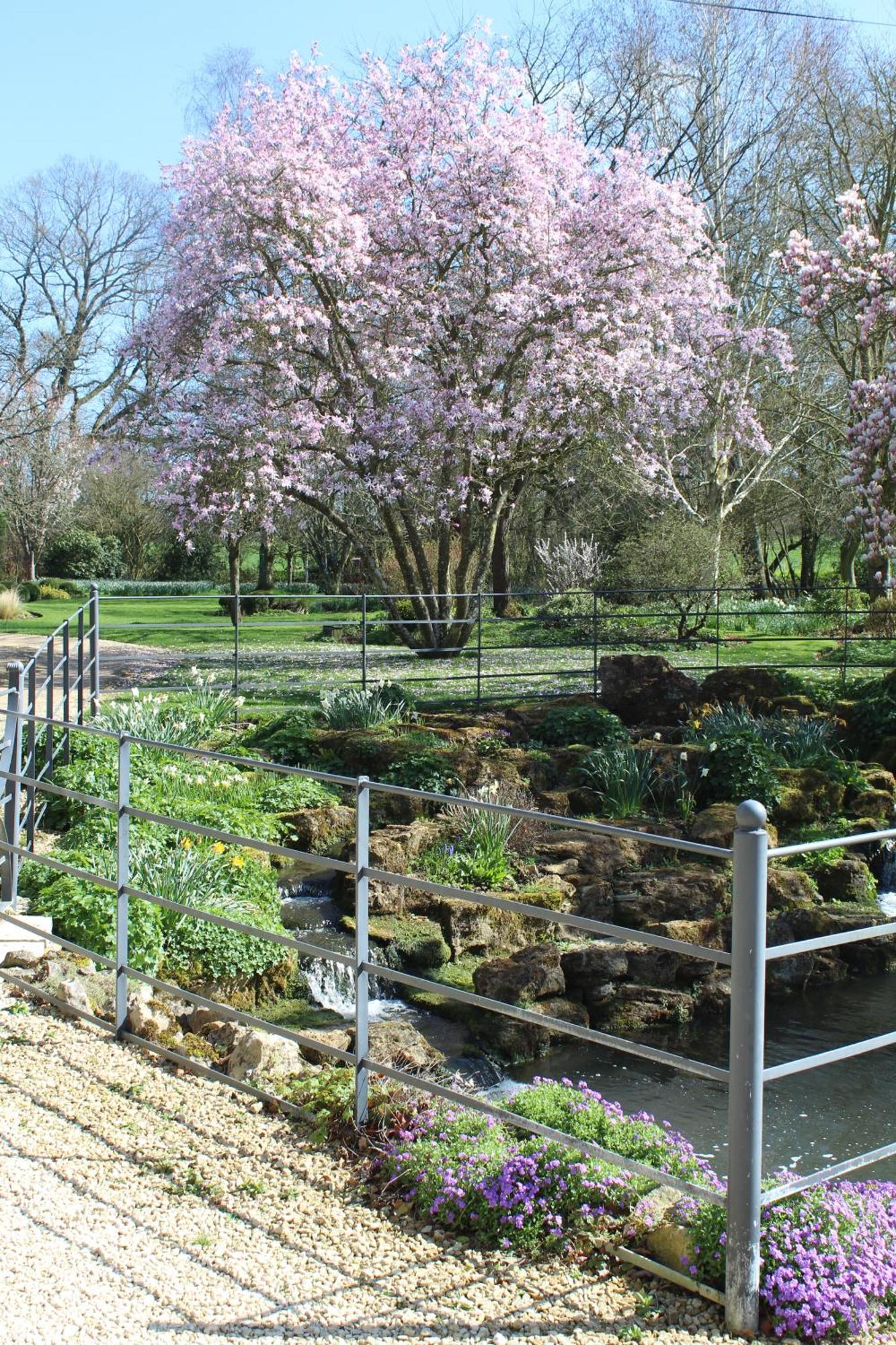 Hewletts Mill Guest House Castle Cary Exterior photo