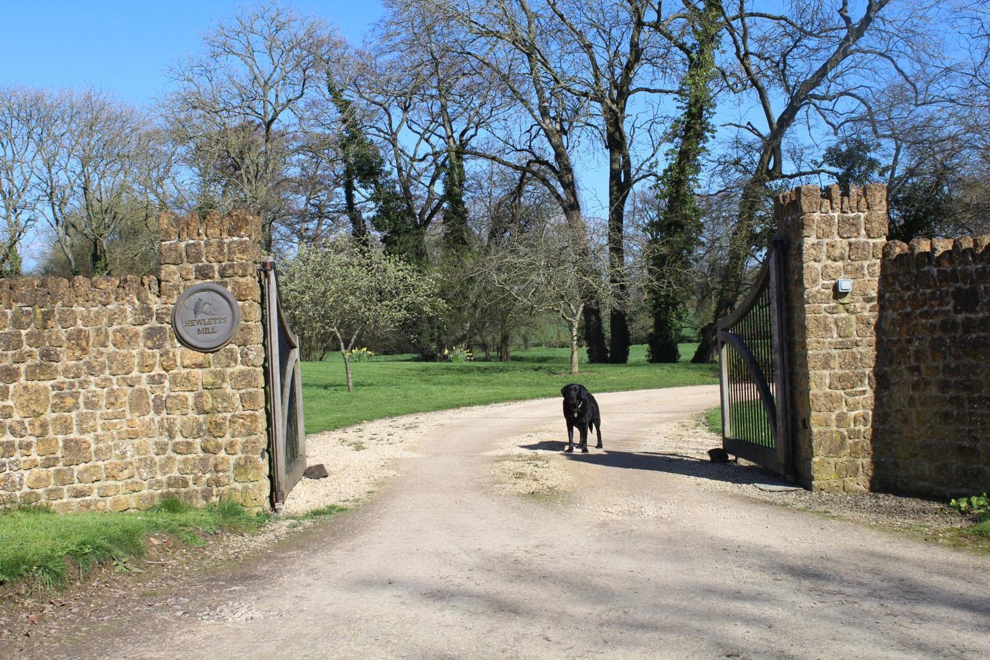 Hewletts Mill Guest House Castle Cary Exterior photo