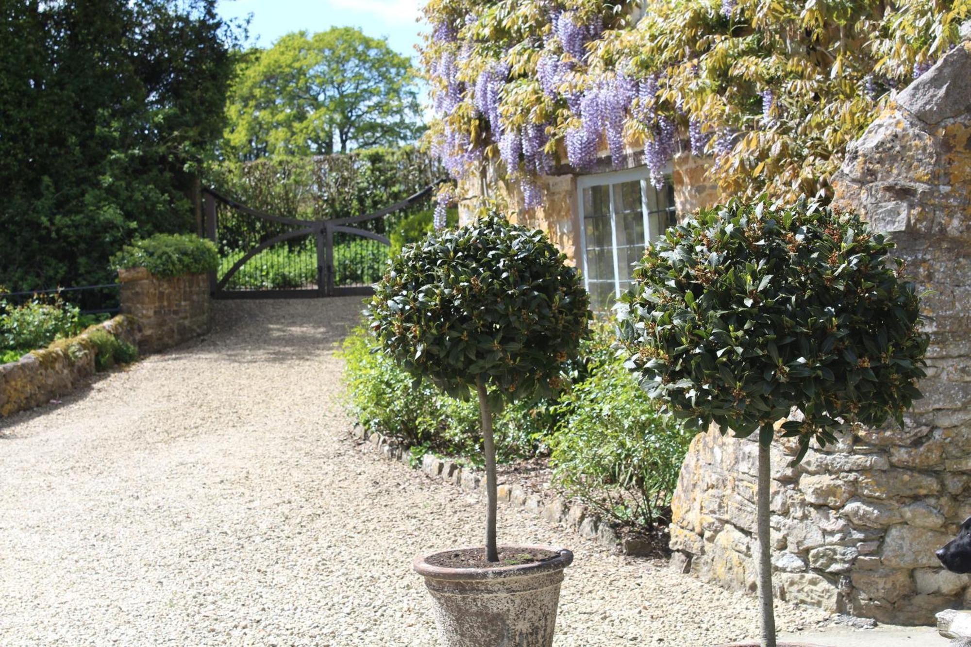 Hewletts Mill Guest House Castle Cary Exterior photo